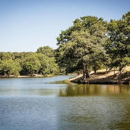 La Casa Del Mare - - Ideal For Families Or Friends